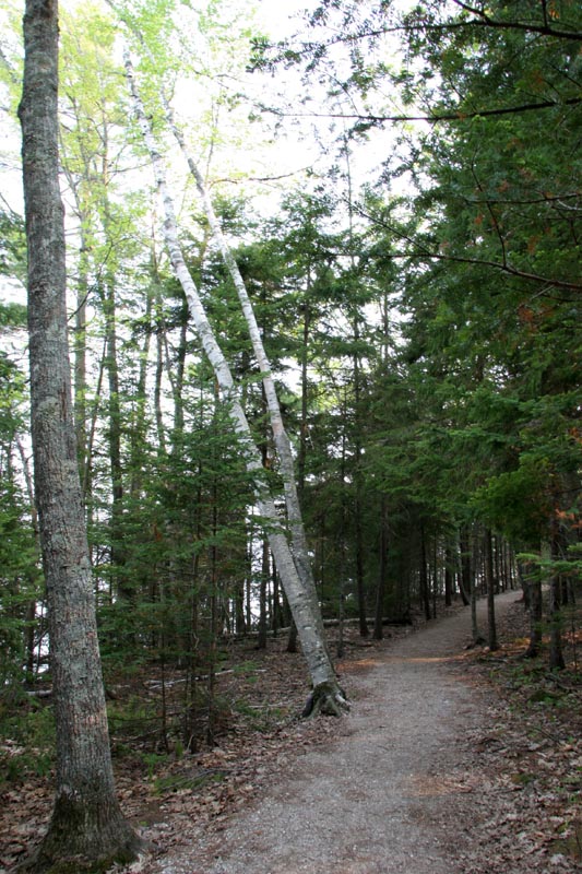 Trail around Casco Bay