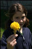 The biggest dandelion we'd ever seen!