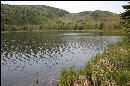 This pond had about 4 beaver dams on it