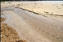 Neat little rippling stream, running out of the mountains across the beach to the ocean