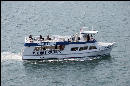 Tour boat, complete with.... a Polar Bear??