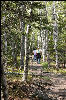 The trail through the woods