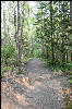 Trail to Casco Bay