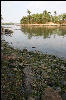 Inlet on Casco Bay