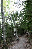 Trail around Casco Bay