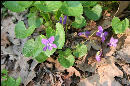 Spring was springing!