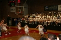 SAM_3575