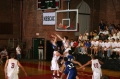 SAM_3582