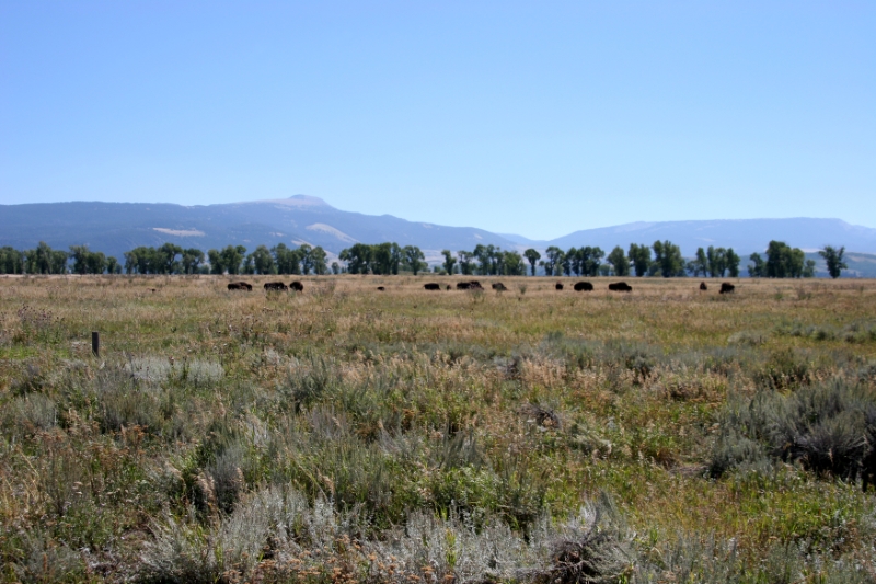 CCR_0095.jpg