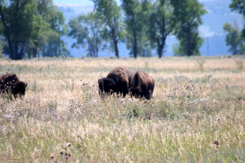 CCR_0097.jpg