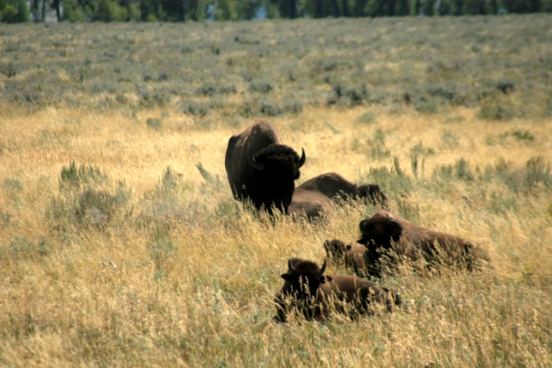 CCR_0129.jpg