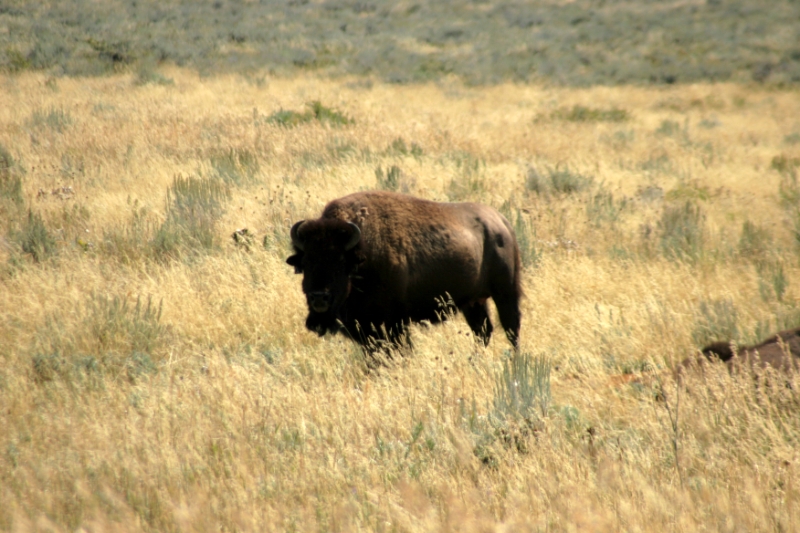 CCR_0139.jpg