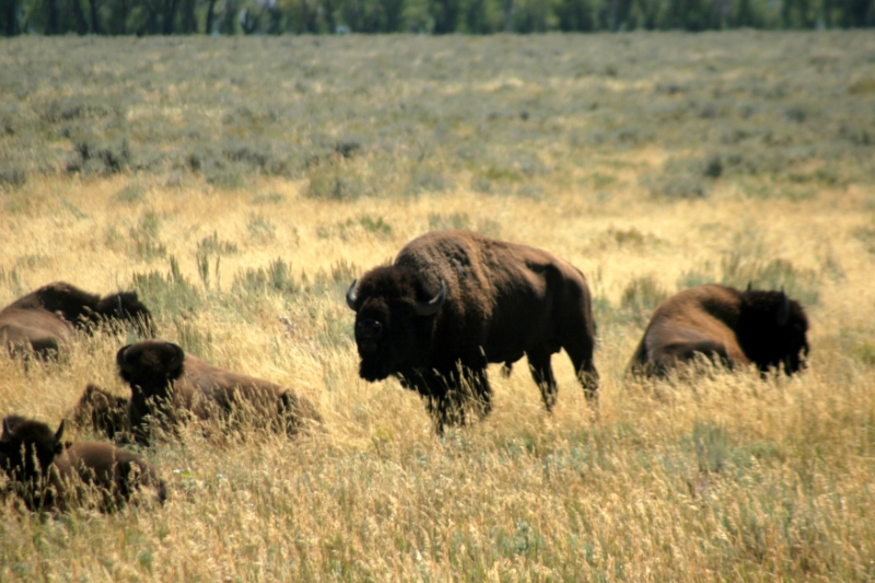 CCR_0143.jpg