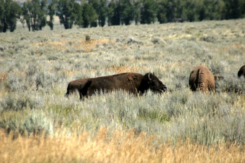 CCR_0174.jpg