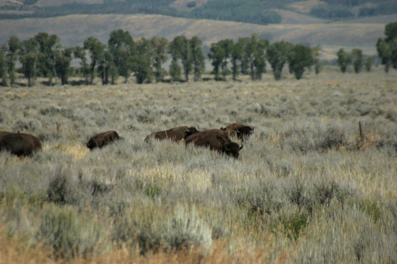CCR_0204.jpg
