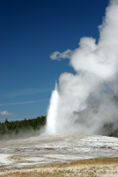CCR_0317.jpg