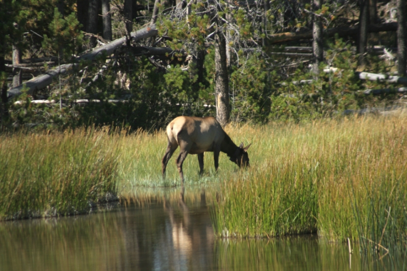 CCR_0361.jpg