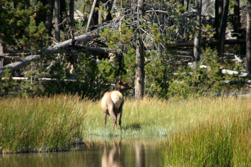 CCR_0370.jpg