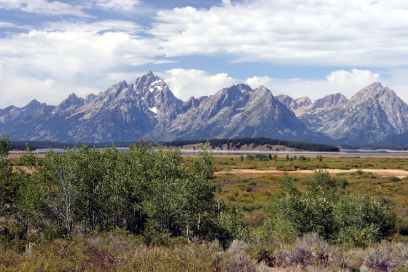 CCR_0400.jpg