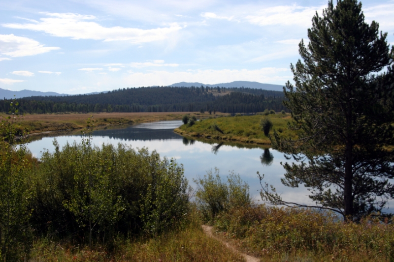 CCR_0414.jpg