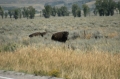 CCR_0206