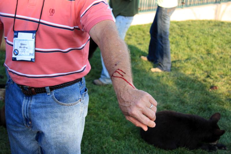 C09_6202.jpg - In case you think they aren't wild or their claws aren't sharp, nothing could be further from the truth