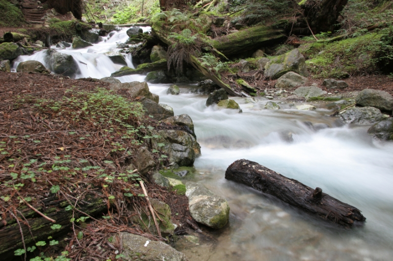 WSP_0690.jpg