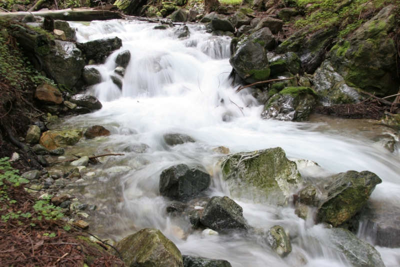 WSP_0708.jpg