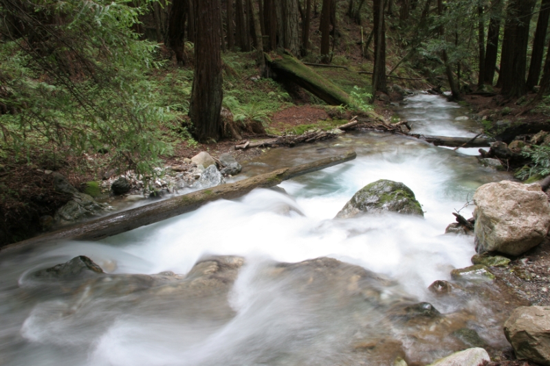 WSP_0712.jpg