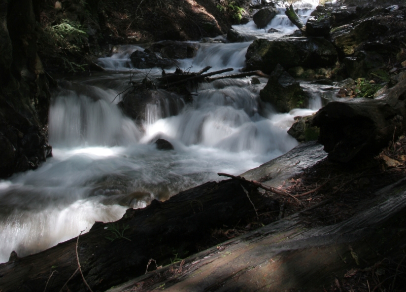 WSP_0717.jpg