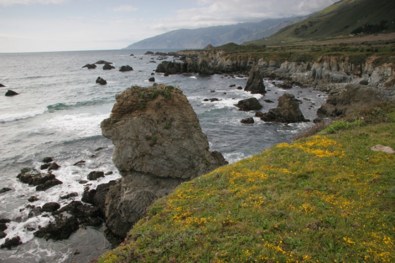 WSP_0740.jpg