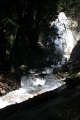 WSP_0736