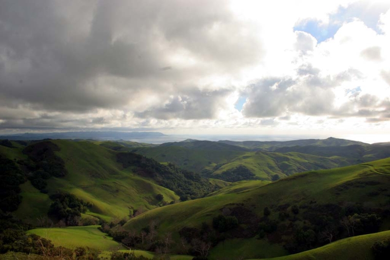 CambriaHills001.jpg