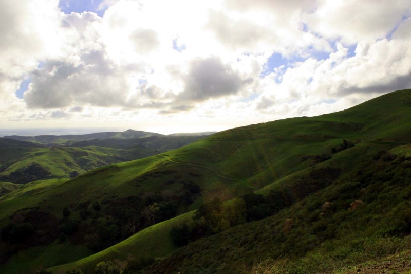 CambriaHills002.jpg
