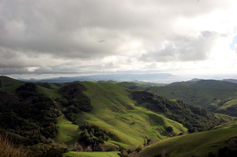 CambriaHills003.jpg