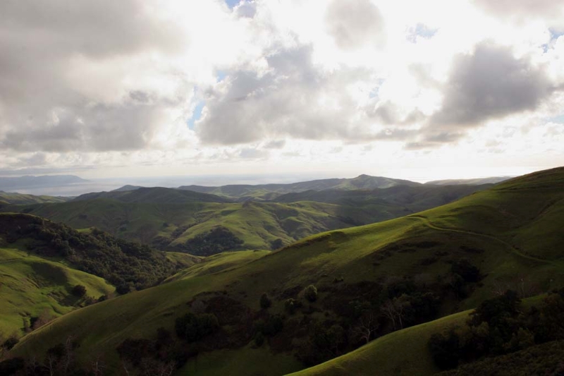 CambriaHills004.jpg