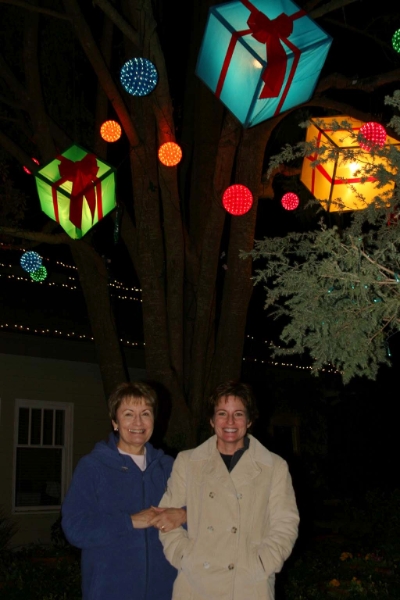 CambriaKSTree.jpg