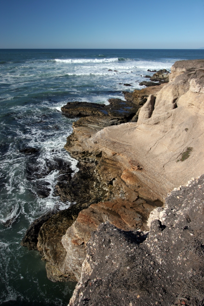 CM7_6329.jpg