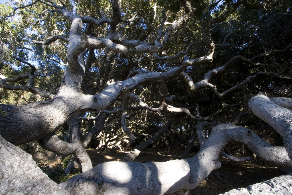 CM7_6392.jpg
