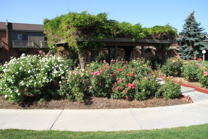 IMG_9522.JPG - The gazebo where the reception will be held