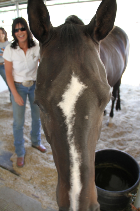 IMG_9889.JPG - He loves the camera