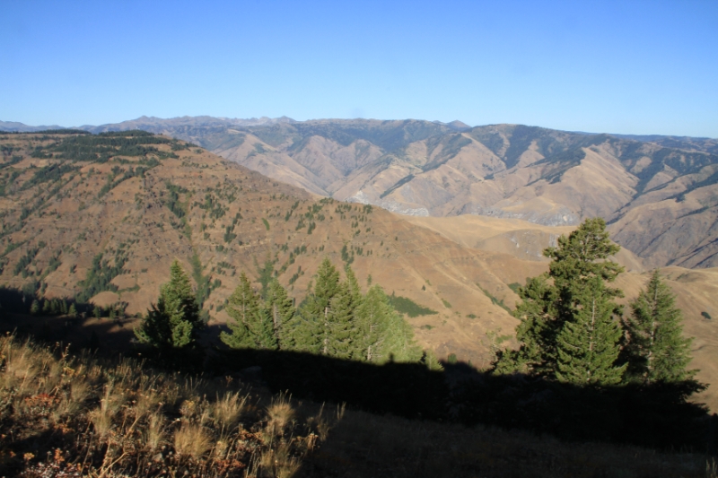 IMG_0636.JPG - And thanks to some fellow riders, we got directions to the Hells Canyon overlook. Well worth the trip, even with Bob hitting a deer on the way down.Bob was fine, the deer, not so much. 