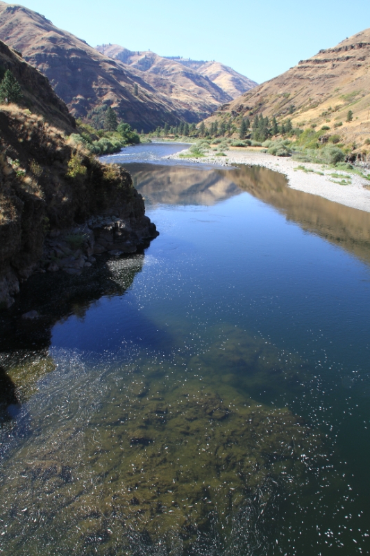 IMG_0686.JPG - Grande Ronde River running through the bottom of the canyon