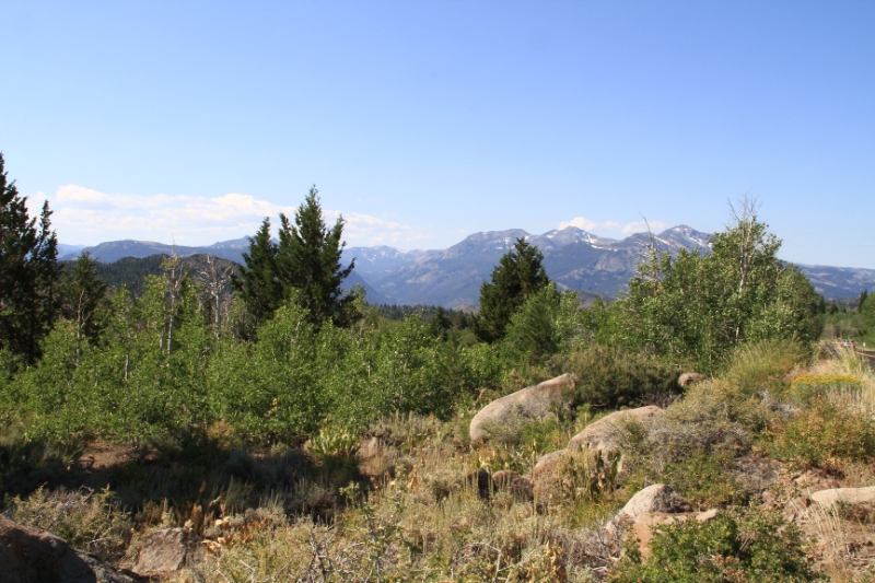 IMG_0921.JPG - On top of Monitor Pass looking into the Sierras