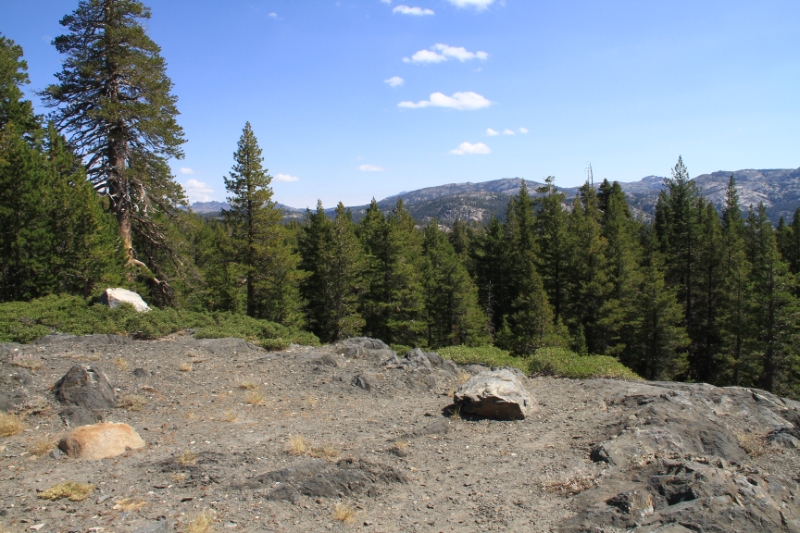 IMG_0942.JPG - Looking east into the Sierras just past the top of Ebbetts. 
