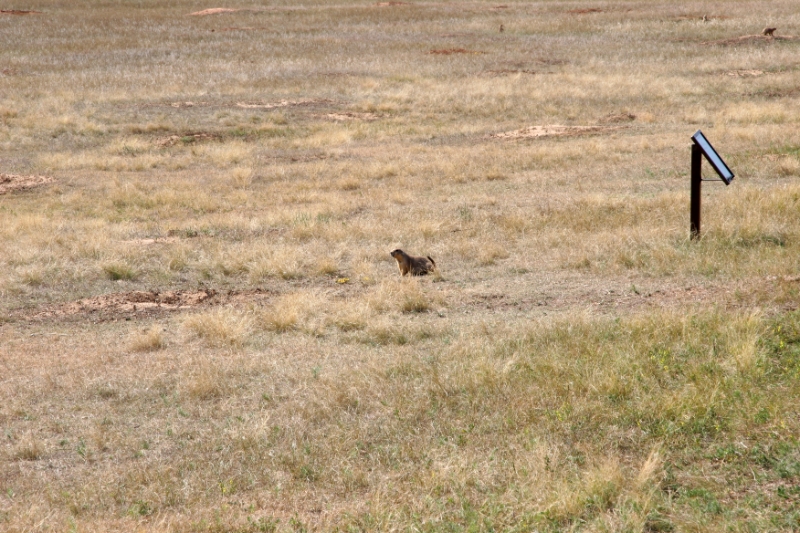 SDT_0938.jpg