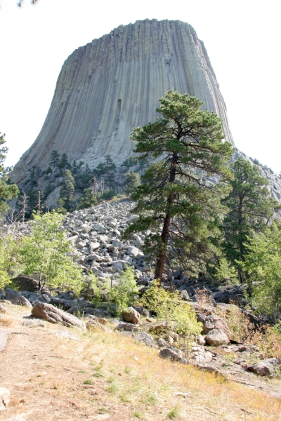 SDT_0949.jpg