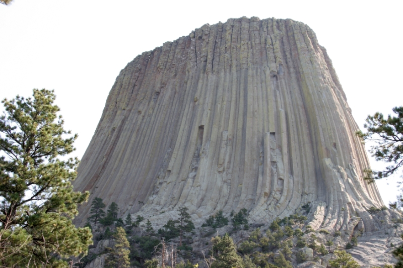 SDT_0954.jpg
