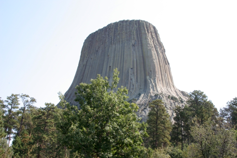 SDT_0955.jpg