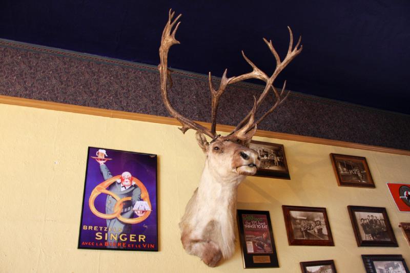 FB8_7089.jpg - And the watch elk